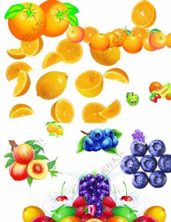 蓝莓橙子图片
