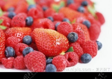 草莓野霉图片