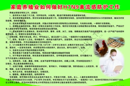 家庭养殖业预防禽流感宣传图片