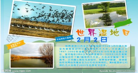 世界湿地日图片