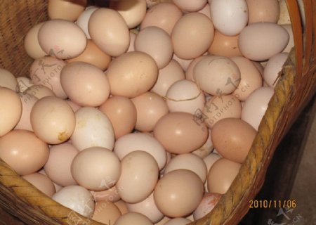 新鲜草鸡蛋图片