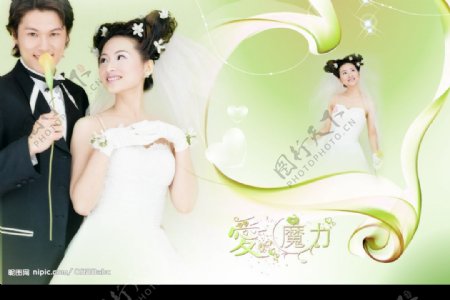 2009婚纱模板图片