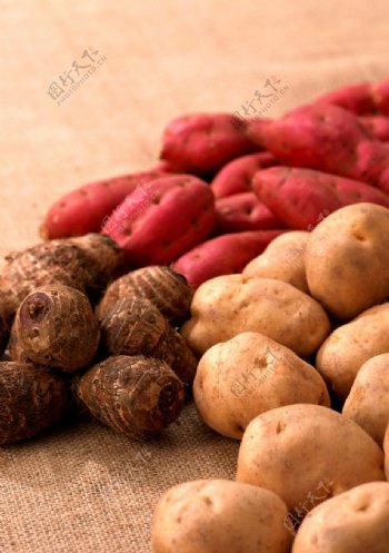 土豆红薯芋艿图片