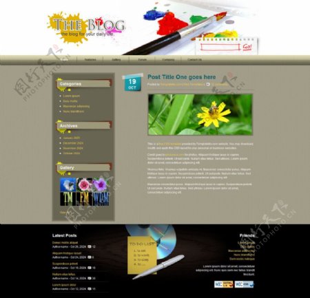 绘画博客网站模版图片