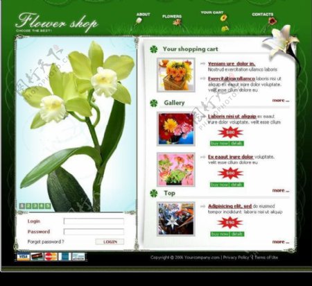 自然花卉商店欧美模板5psd6flahtml图片