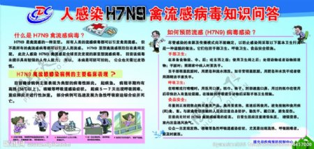 禽流感H7N9板报图片