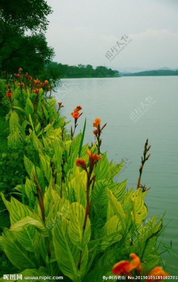 东莞市松山湖图片