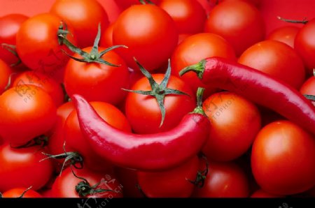 西红柿和辣椒图片