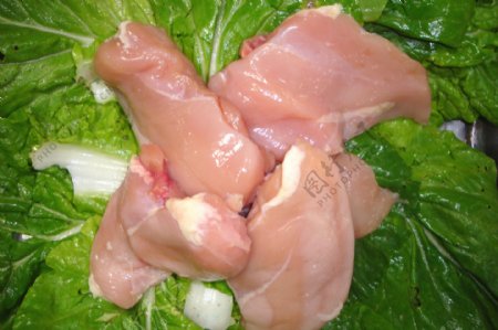 鸡胸肉图片