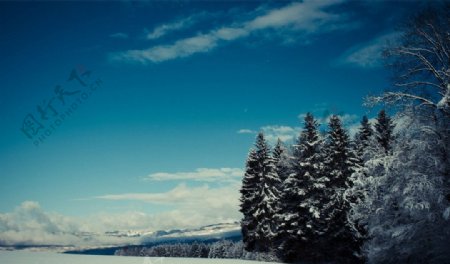冬天风景雪景图片