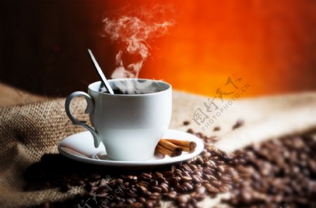 咖啡桂皮咖啡豆图片