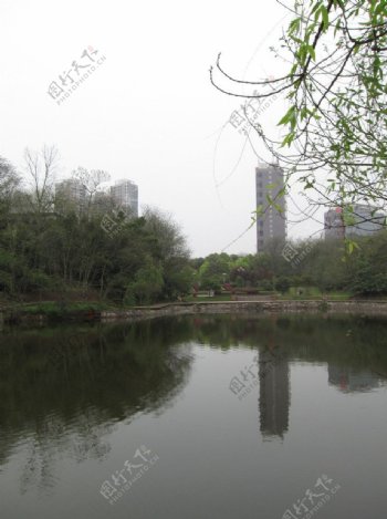 衡阳市公园一角图片