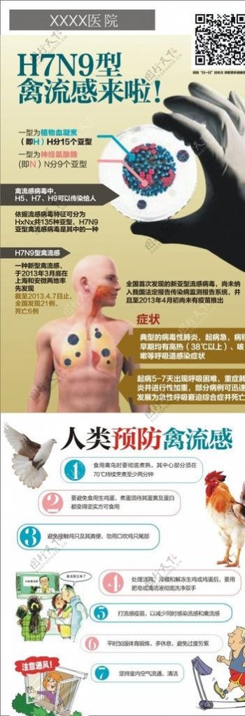 H7N9禽流感X展架图片