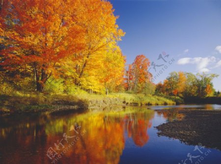 秋季湖面图片