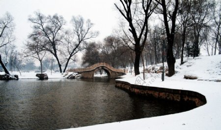 冬日湖边风景图片