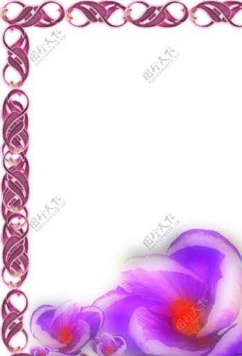 紫色花卉边框图片