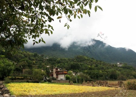 川西藏寨田园风光图片