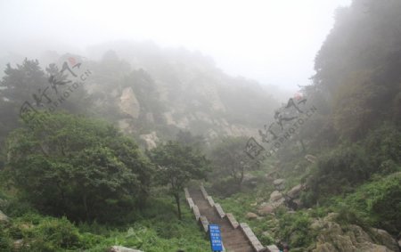 雾气笼绕泰山图片