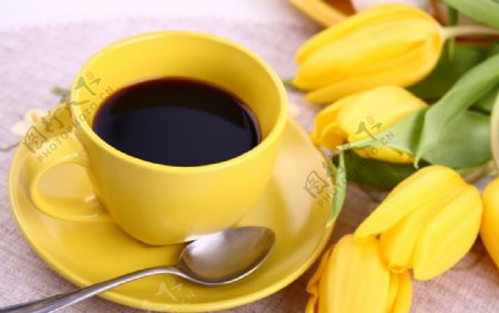咖啡与花朵图片