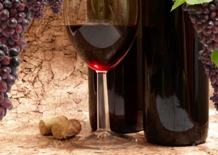 葡萄和红酒图片