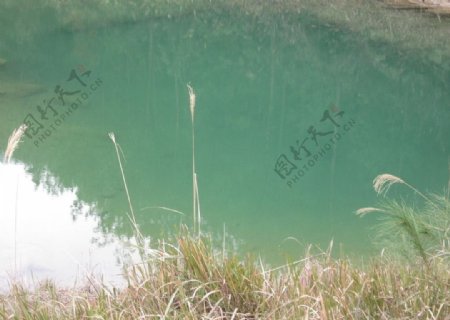 池塘图片