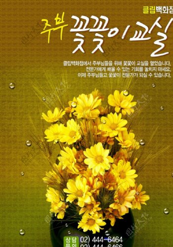 韩式花卉图片