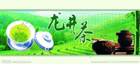 龙井茶图片