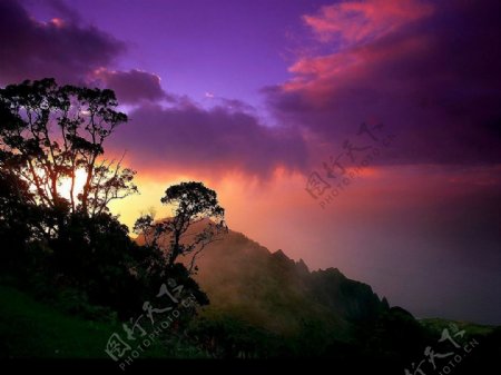 紫霞青山树影图片