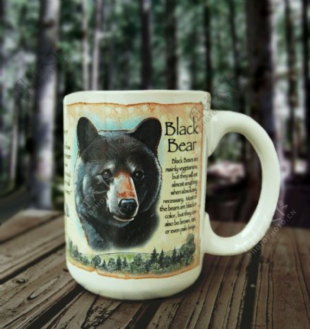 美国探险黑熊马克杯图片