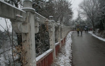 雪中大路图片