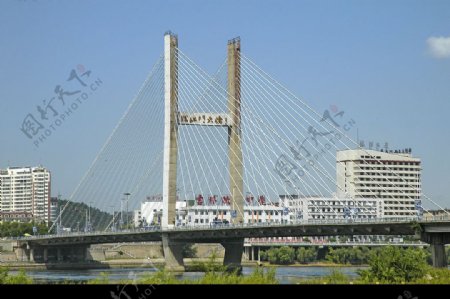 斜拉桥图片