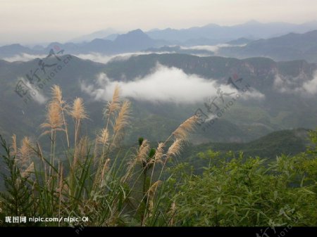 美丽的风景图片