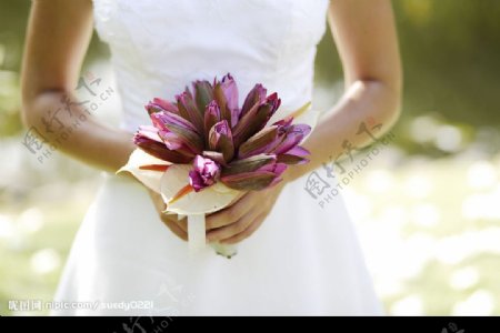 捧着花球的新娘图片