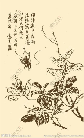 芥子园画谱翎毛图片