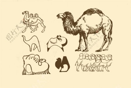 动物图案骆驼图片