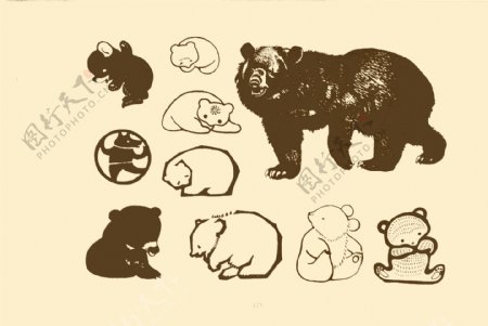 动物图案熊图片