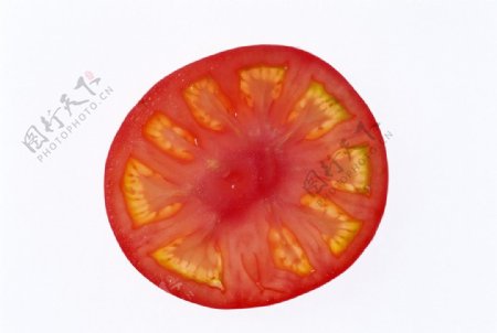 一片西红柿图片