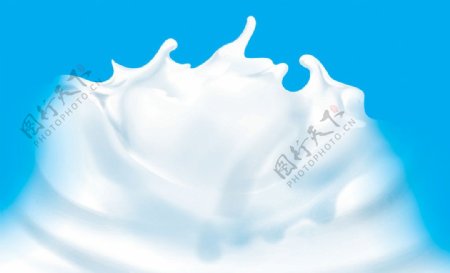 奶花牛奶图片