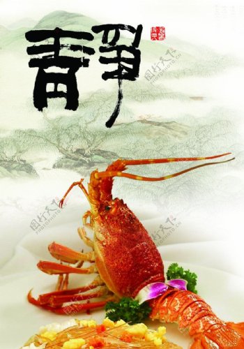 大龙虾菜图片