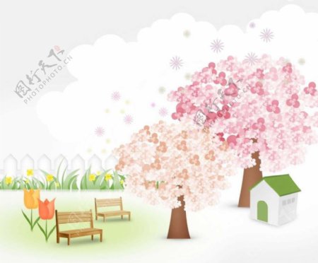 樱花树背景图片