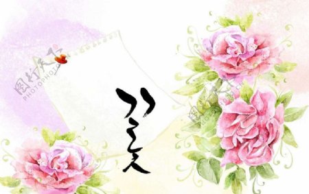 牡丹鲜花背景图片