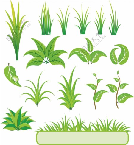 植物素材图片