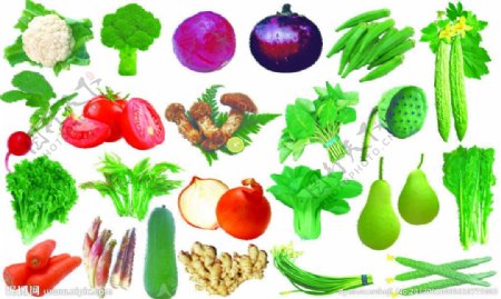 蔬菜集锦图片