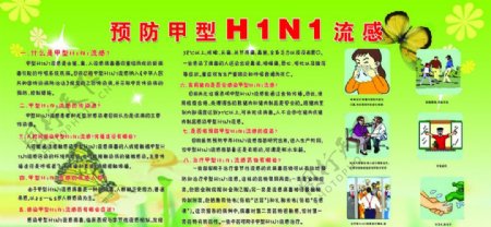 甲型H1N1流感展版图片