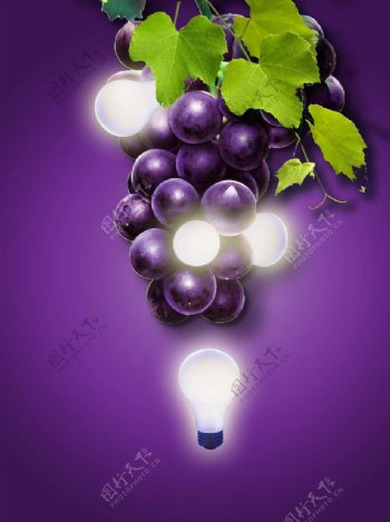 紫葡萄灯泡绿叶合成图片