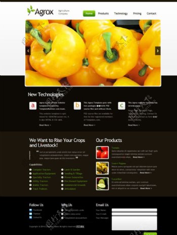 水果蔬菜类网站模板图片
