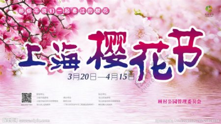 上海樱花节图片
