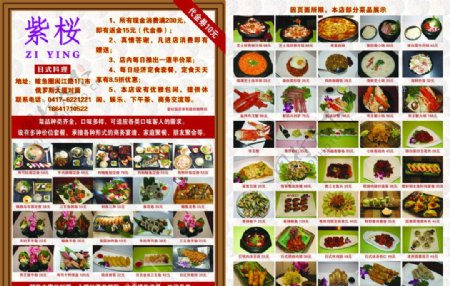 紫樱日式料理DM图片