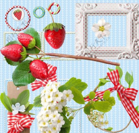 草莓和相框图片
