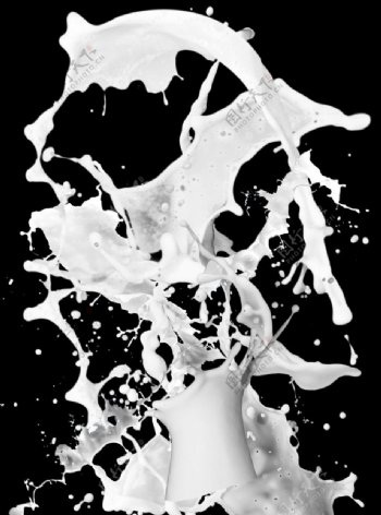 飞溅牛奶素材图片